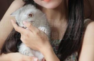 51吃瓜网的秘密角落，今日吃瓜在线的绝佳地址大公开！