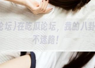 在吃瓜论坛，我的八卦人生永不迷路！