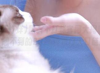 黑料不打烊官网大揭秘：你绝对想不到的2025传送门入口链接！