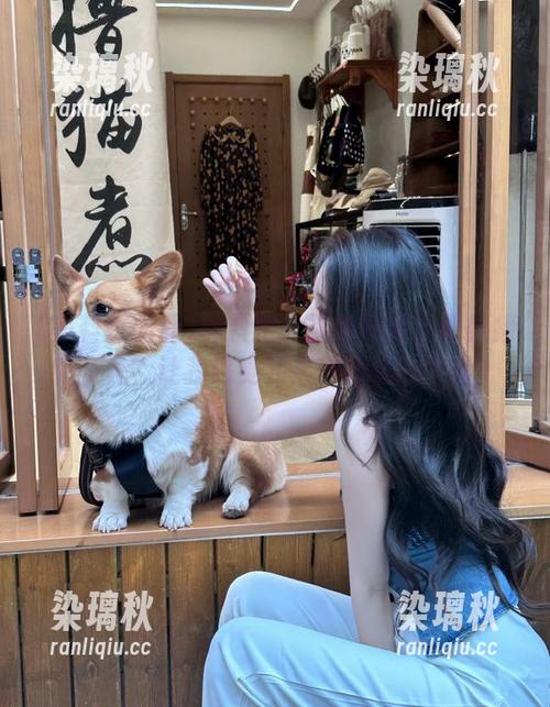 黑料正能量官网的下载链接有多长？让我感受到某种神秘的力量！