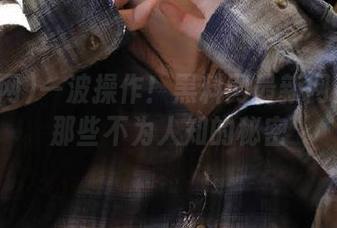 一波操作！黑料网最新网页揭秘那些不为人知的秘密