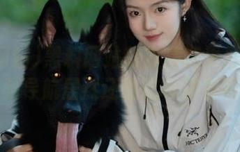 黑料网站前方高能更新！美女视频导航居然还能这样停留吗？